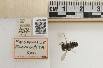 Media type: image;   Entomology 789955 Aspect: Labels